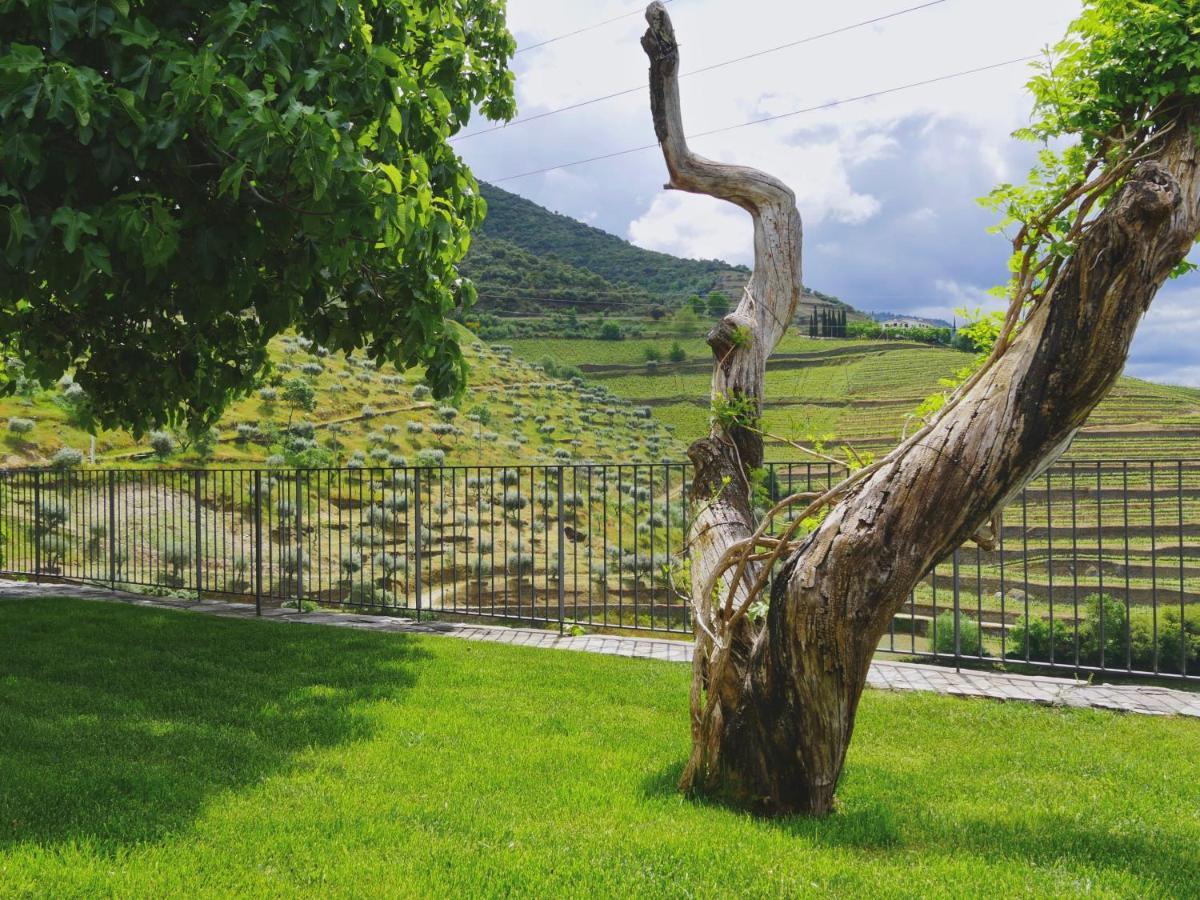 مبيت وإفطار Folgosa  Quinta Do Tedo المظهر الخارجي الصورة