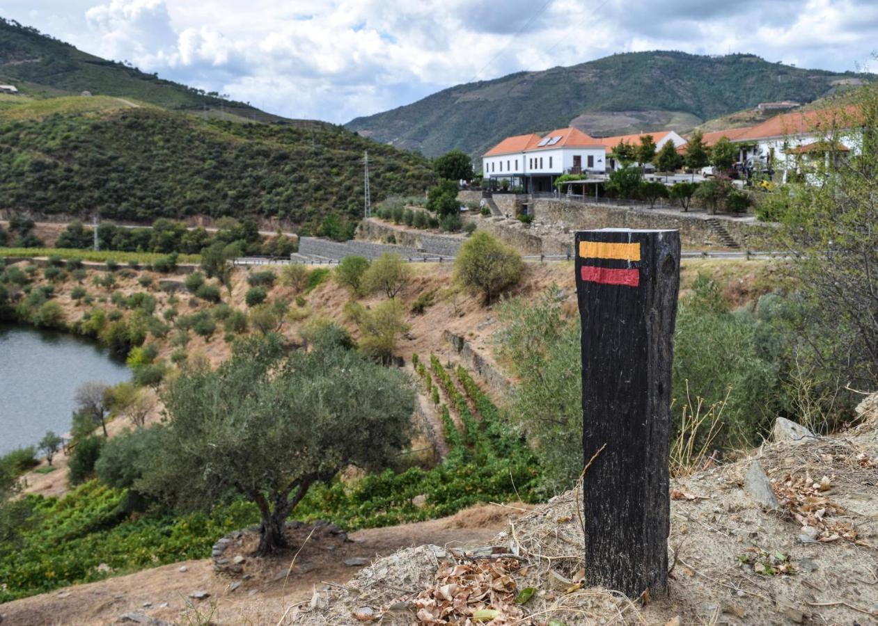 مبيت وإفطار Folgosa  Quinta Do Tedo المظهر الخارجي الصورة