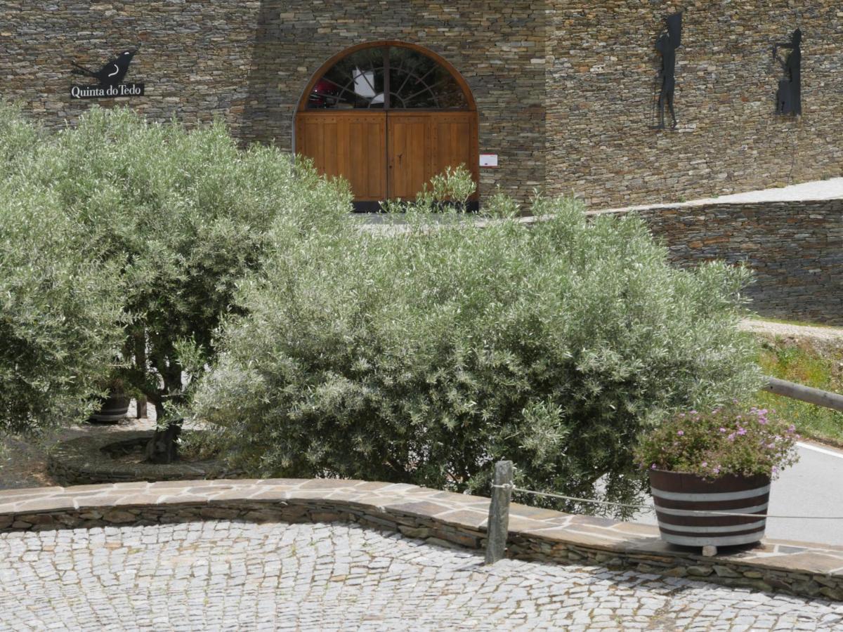 مبيت وإفطار Folgosa  Quinta Do Tedo المظهر الخارجي الصورة
