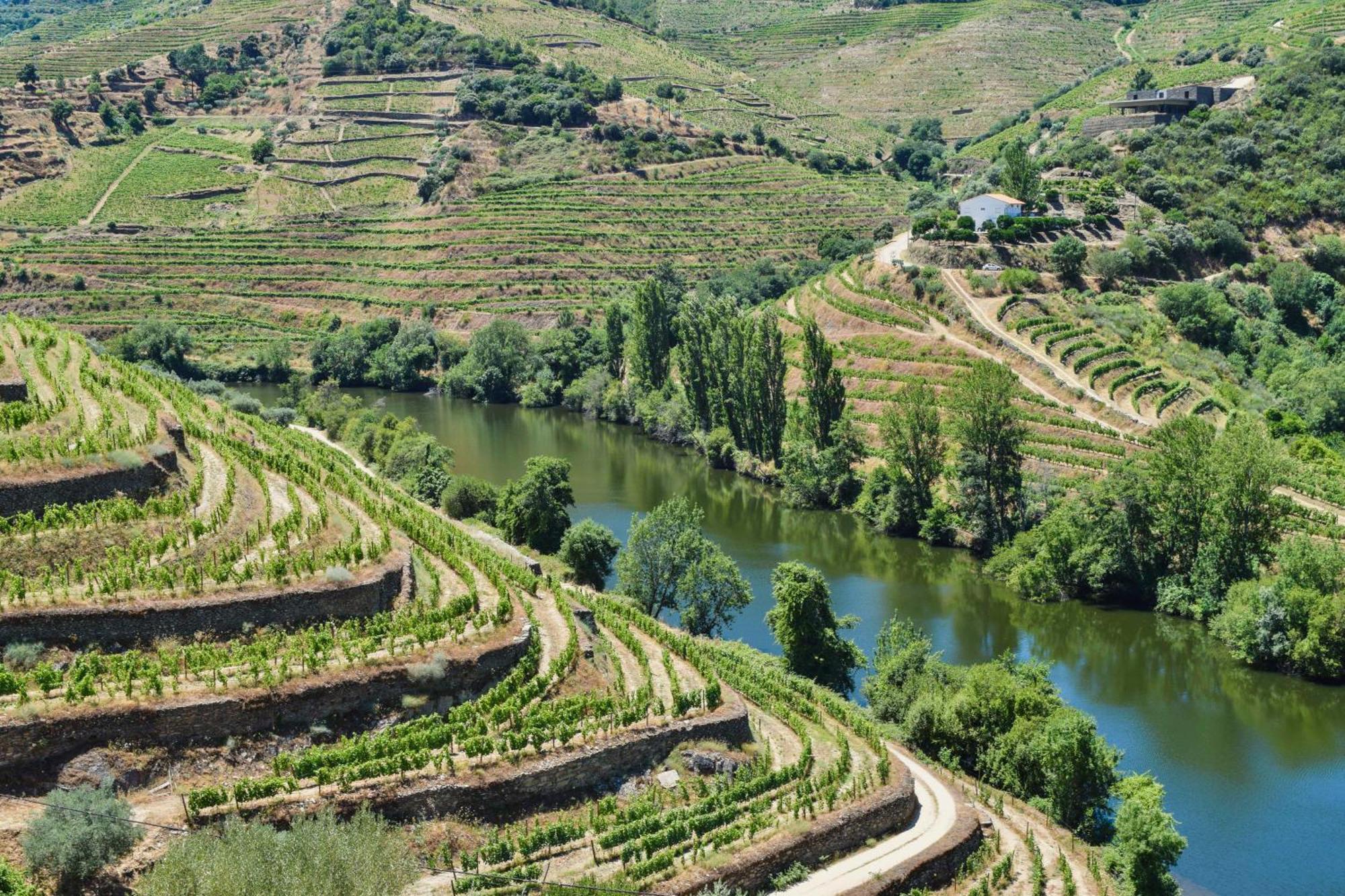 مبيت وإفطار Folgosa  Quinta Do Tedo المظهر الخارجي الصورة