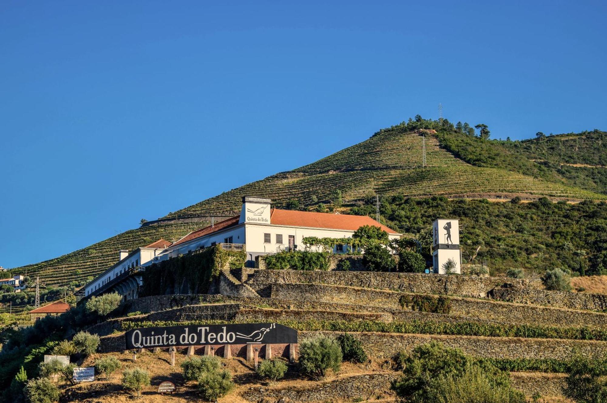 مبيت وإفطار Folgosa  Quinta Do Tedo المظهر الخارجي الصورة