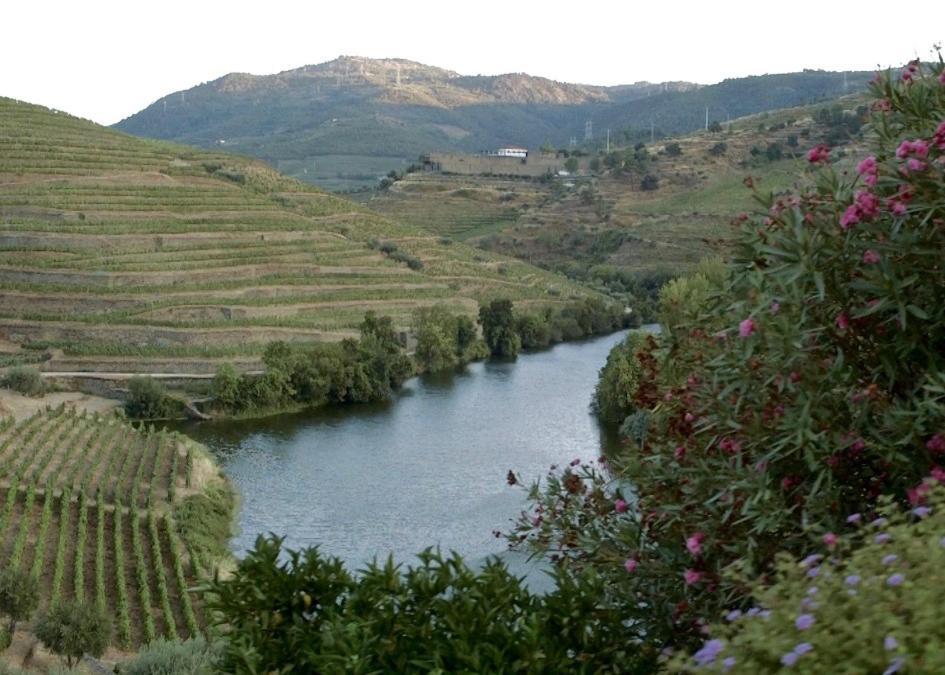 مبيت وإفطار Folgosa  Quinta Do Tedo المظهر الخارجي الصورة